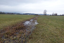 Banner Kleine Gewässer- Grundwassermanagement und Biotopverbund