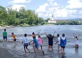 Banner „Schatzkiste Donau“ - den Kostbarkeiten unserer Donau auf der Spur!