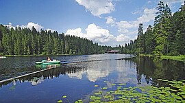 Banner Bayerische Wald