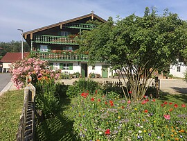 Banner Fahrt ins Blaue - Radltour bzw. Auto