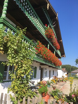 Banner Schwammerlessen gestiftet Fam. Groh