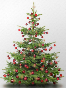 Banner Christbaumversteigerung